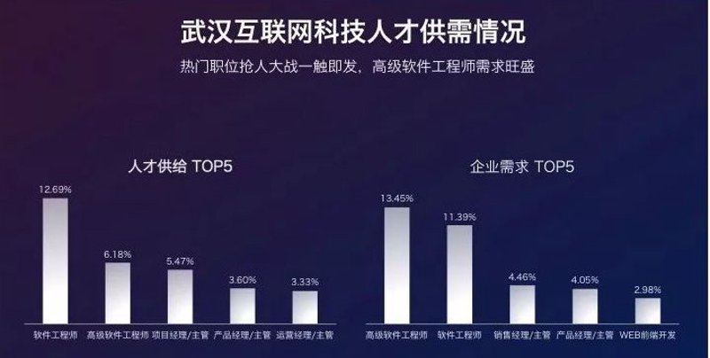 武汉软件开发：技术与市场的深度对话
